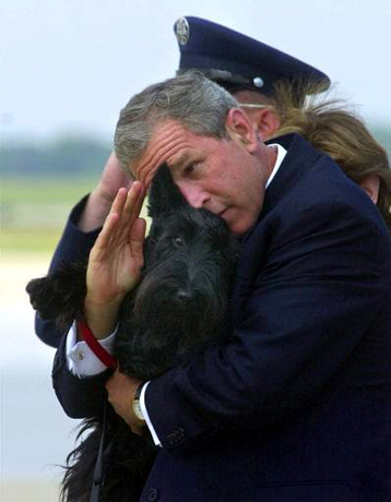 [Image: Bush_dog_salute.jpg]